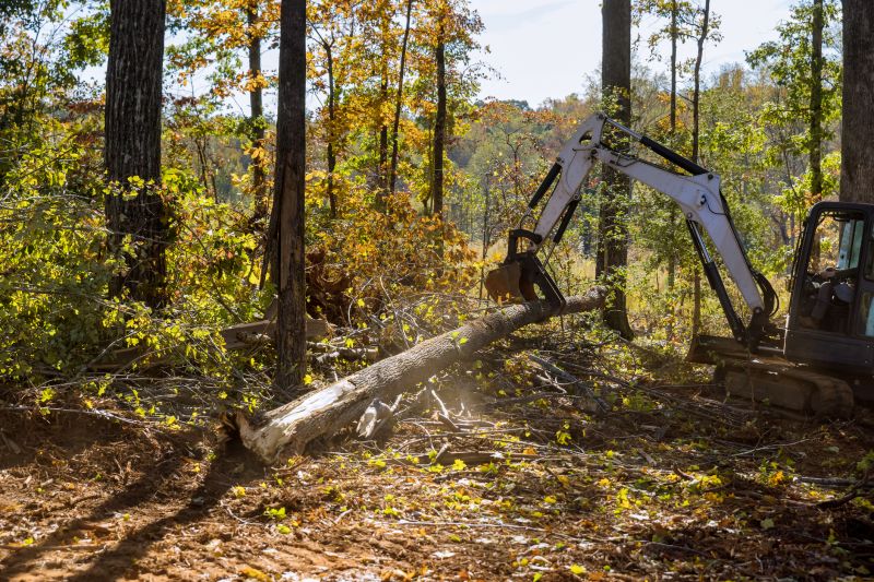 Increase Your Land Clearing Business with an AI Driven, Targeted Website