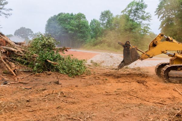 Ground Clearing in Lodi