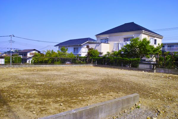 Cost of Lot Clearing Service in Lodi