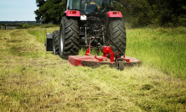 Brush Clearing Service in Lodi