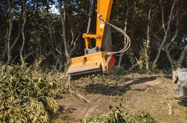 Brush Removal Service in Lodi