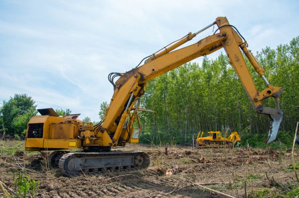 Cost of Farm Clearing in Lodi