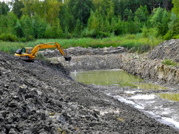 Cost of Lake Lot Clearing in Lodi