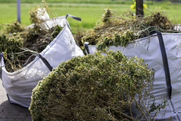 Cost of Bushes Clearing in Lodi