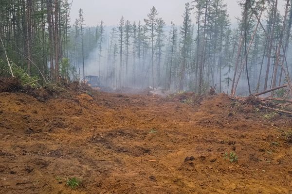Cost of Hill Clearing in Lodi