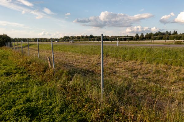 Cost of Property Line Clearing in Lodi