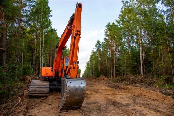 Cost of Backhoe Land Clearing in Lodi