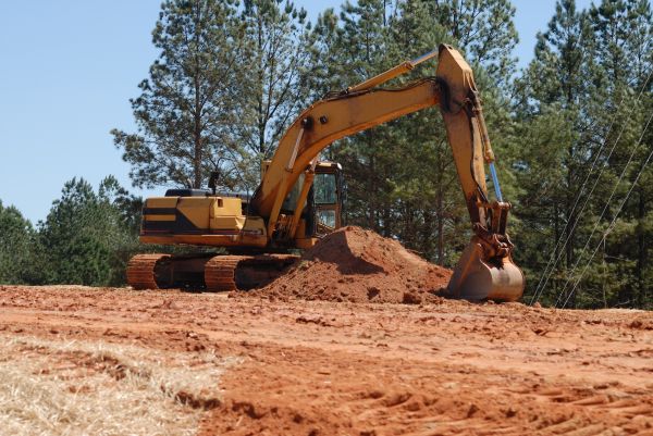 Cost of Easement Land Clearing in Lodi