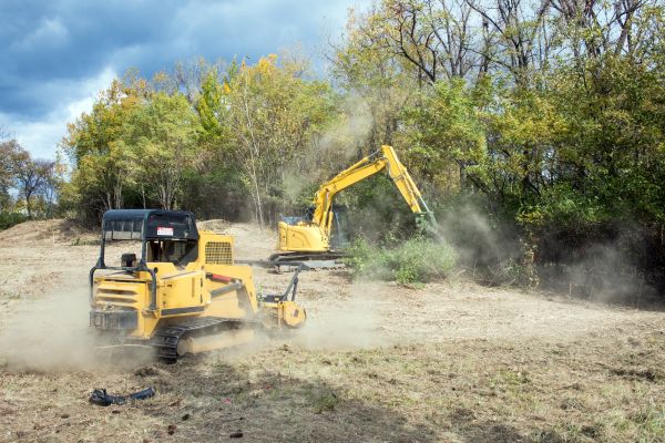 Cost of Terrain Clearing in Lodi