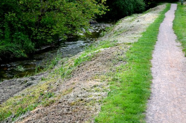 Cost of Trail Cutting in Lodi