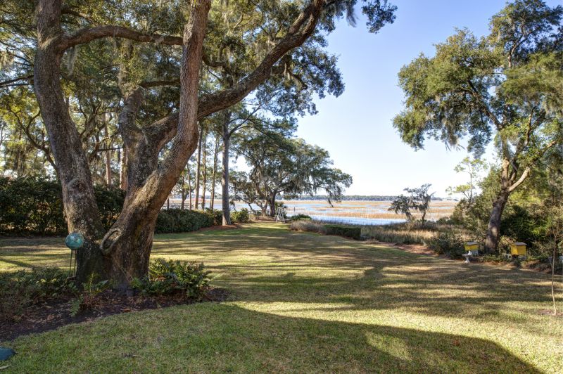 Waterfront Land Clearing